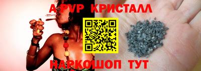 стафф Будённовск