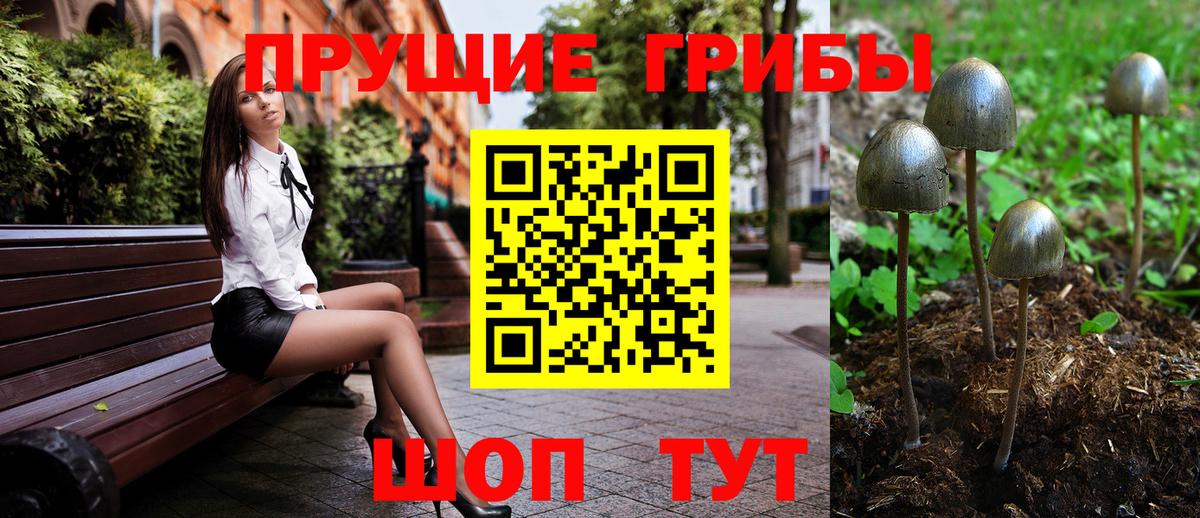 Магнитогорск  Псилоцибиновые грибы мицелий  Вход с VPN  Псилоцибиновые грибы GOLDEN TEACHER 